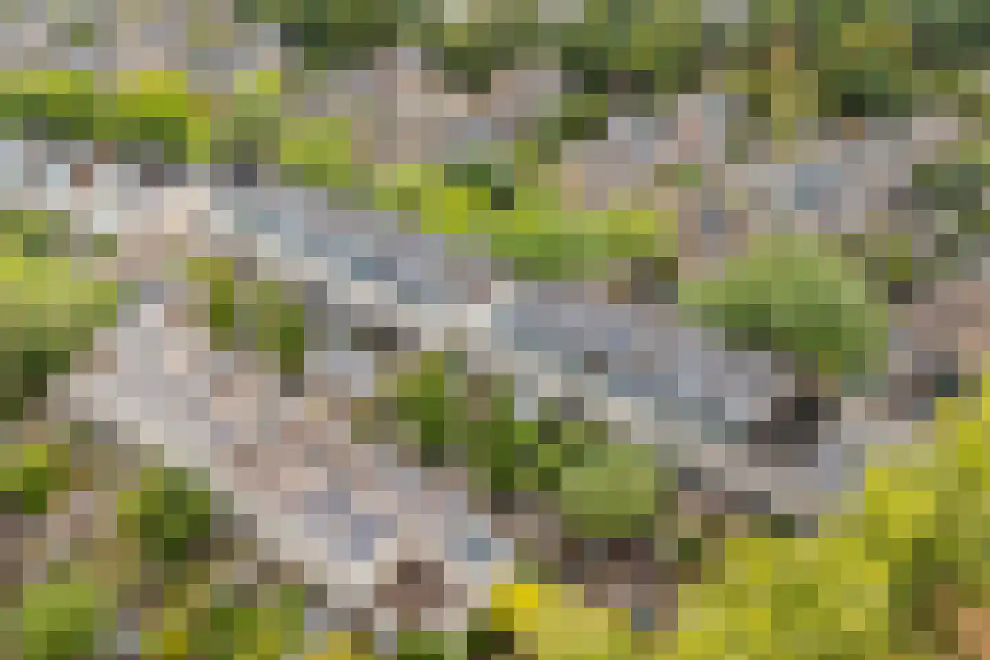 Atlasvlinder 92 Amersfoort thumbnail 48