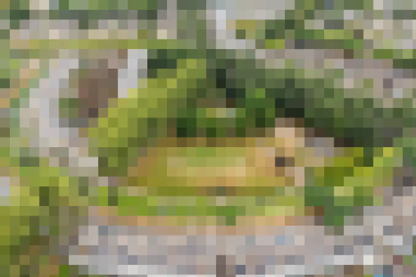 Atlasvlinder 92 Amersfoort thumbnail 49