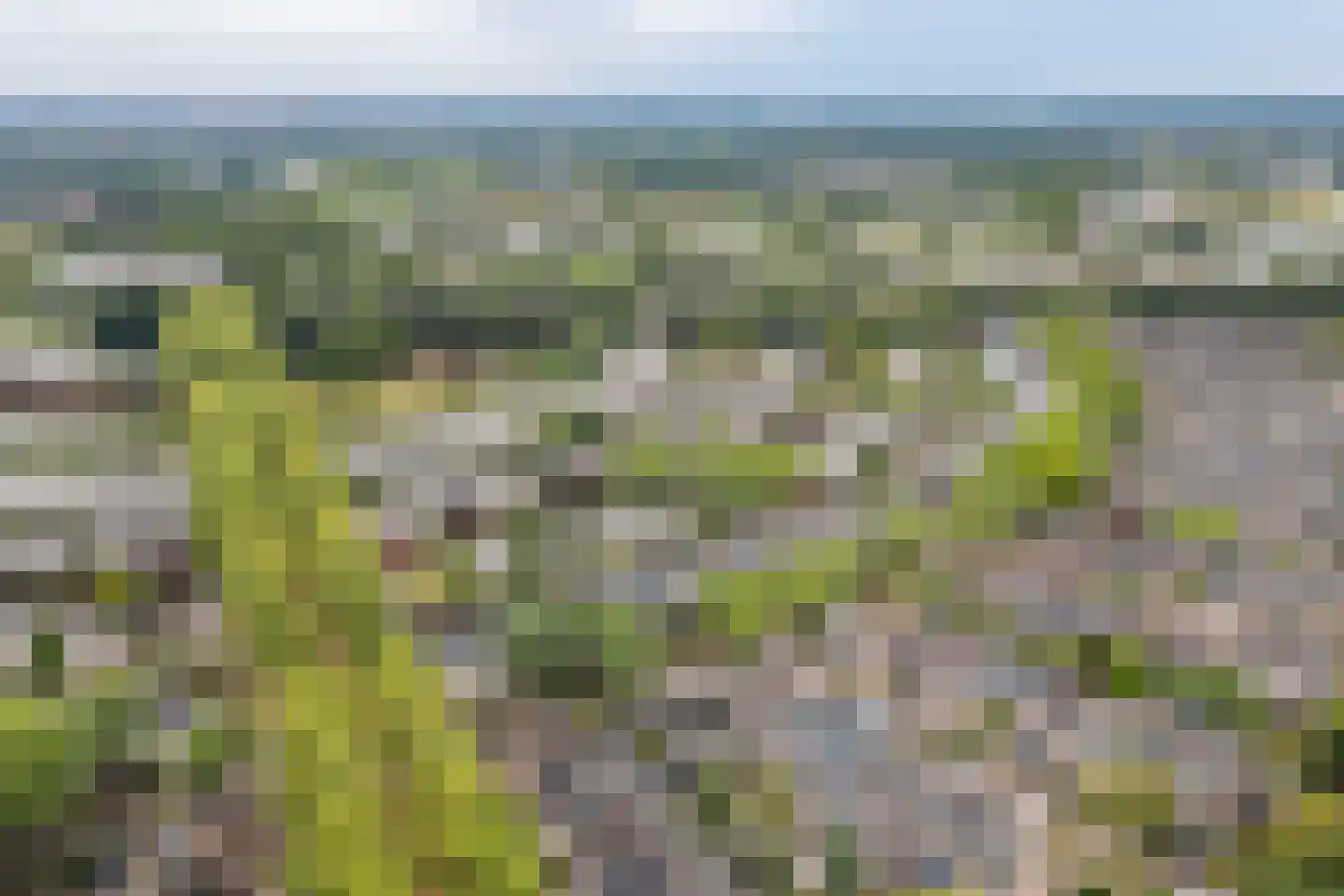 Atlasvlinder 92 Amersfoort thumbnail 50