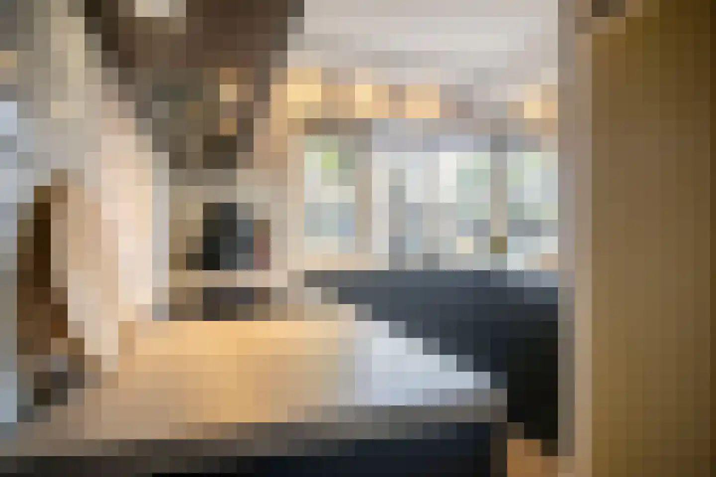 Atlasvlinder 92 Amersfoort thumbnail 6
