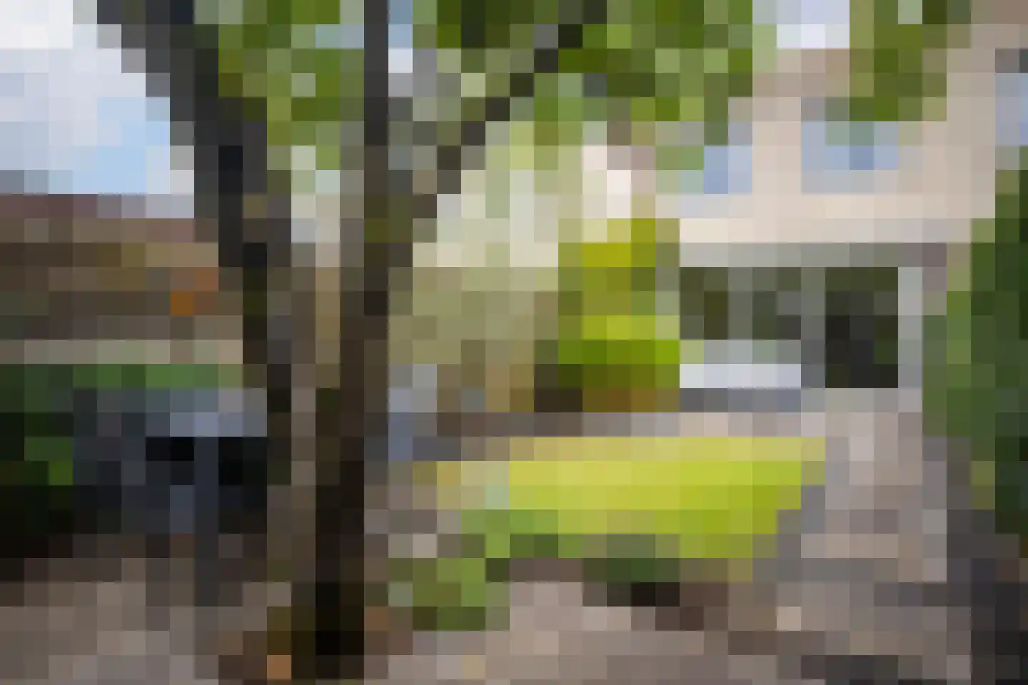 Atlasvlinder 92 Amersfoort thumbnail 8