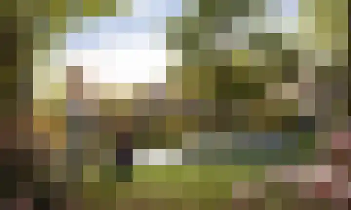 Atletiekbaan 27 Vlaardingen thumbnail 11