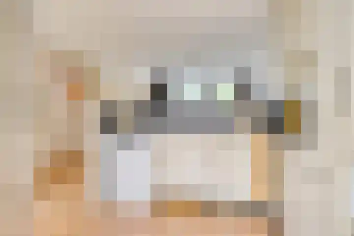 Atrechtlaan 17 Eindhoven thumbnail 16