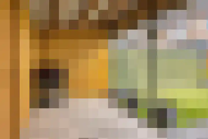 Atrechtlaan 17 Eindhoven thumbnail 28