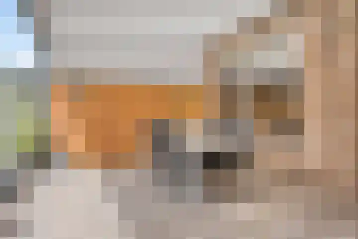 Atrechtlaan 17 Eindhoven thumbnail 29