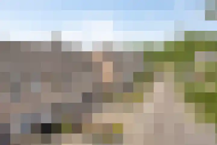 Atrechtlaan 17 Eindhoven thumbnail 33