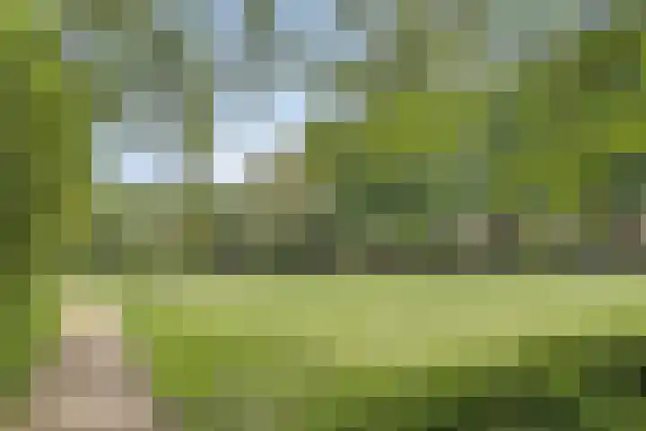 Atrechtlaan 17 Eindhoven thumbnail 35