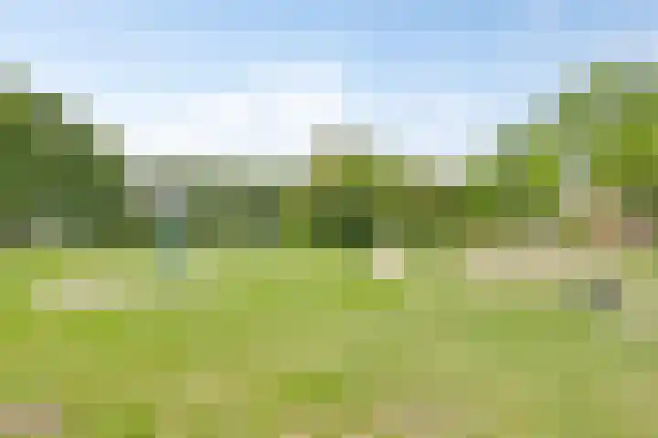 Atrechtlaan 17 Eindhoven thumbnail 36