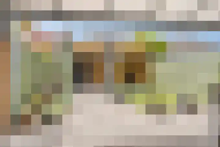 Atrechtlaan 17 Eindhoven thumbnail 6