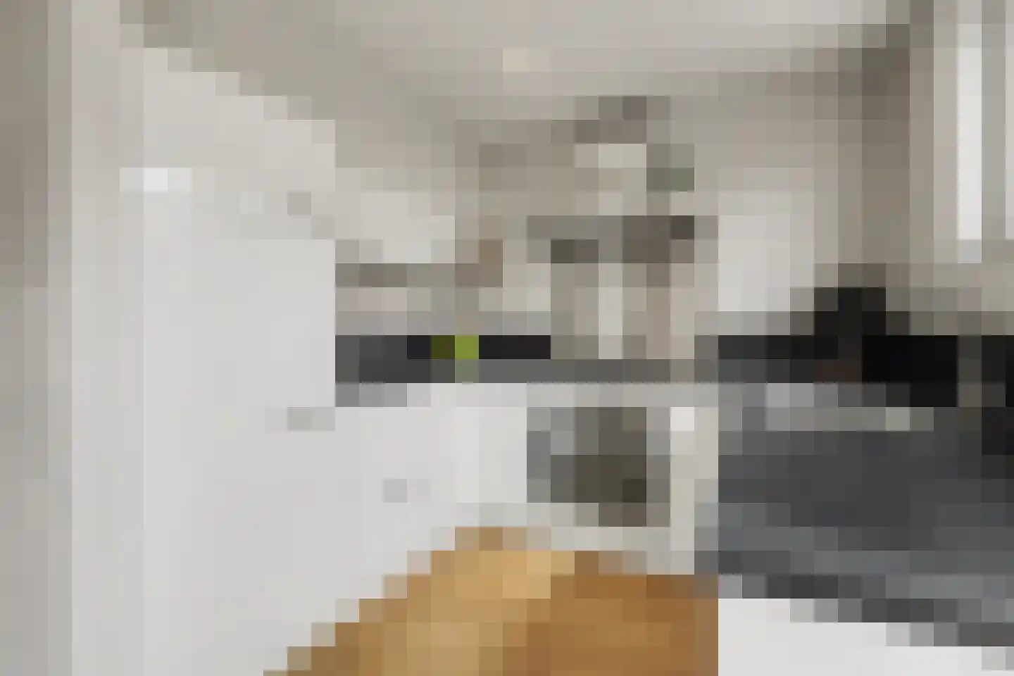 Atrechtlaan 20 Eindhoven thumbnail 15