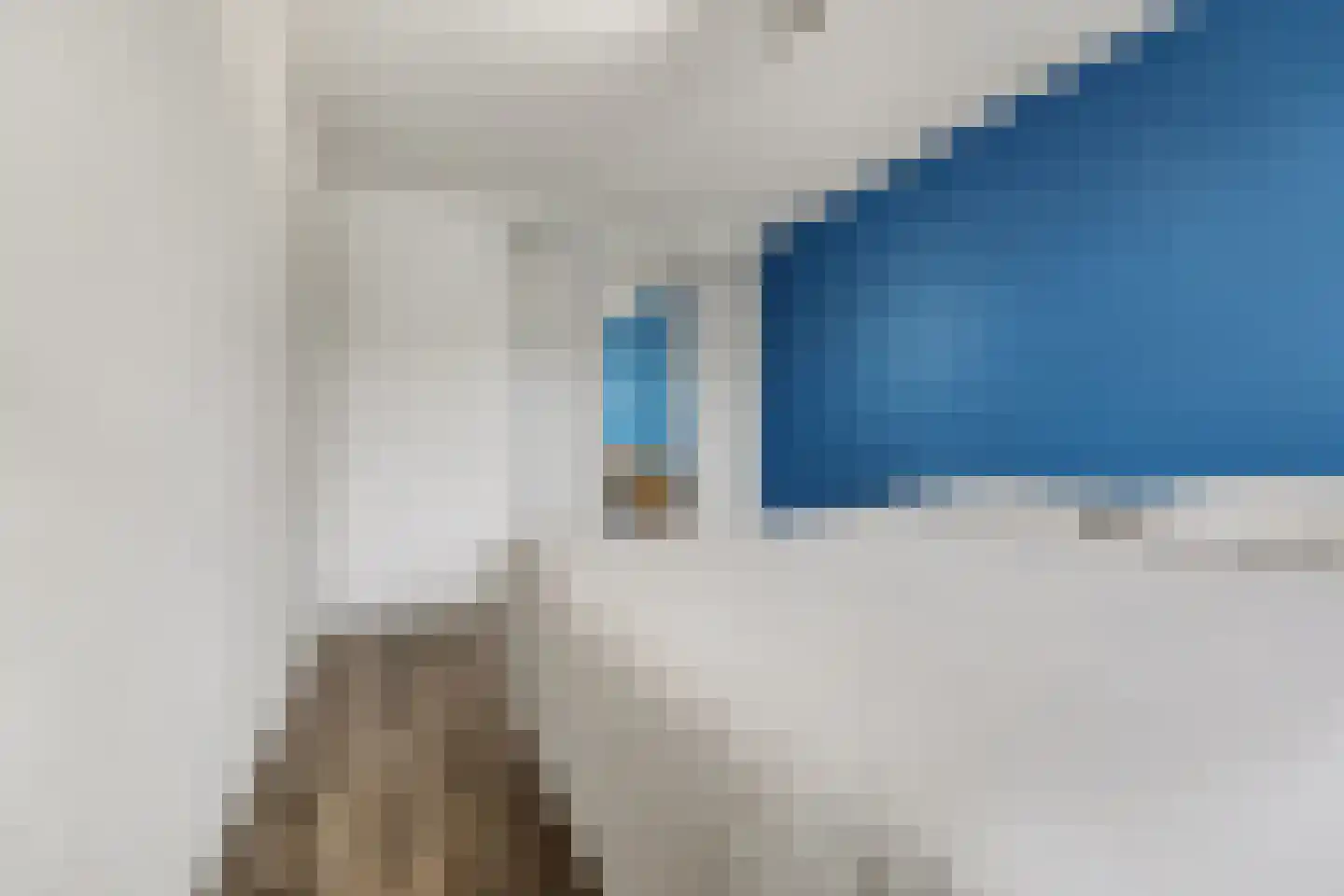 Atrechtlaan 20 Eindhoven thumbnail 22
