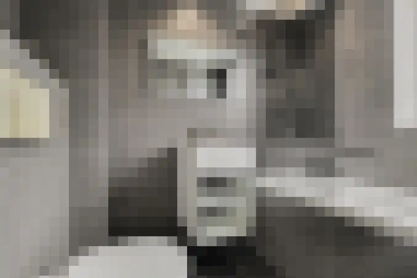 Atrechtlaan 20 Eindhoven thumbnail 26
