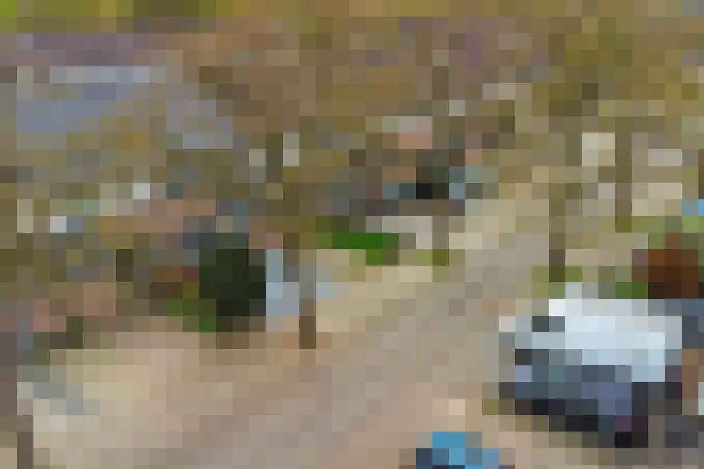 Atrechtlaan 20 Eindhoven thumbnail 35
