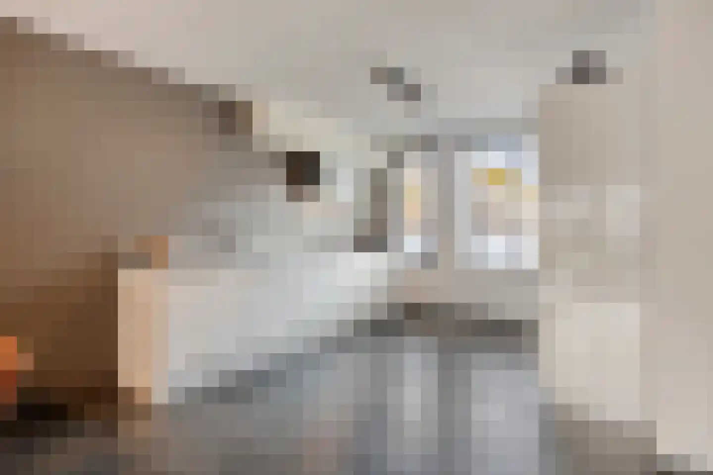 Atrechtlaan 27 Eindhoven thumbnail 20