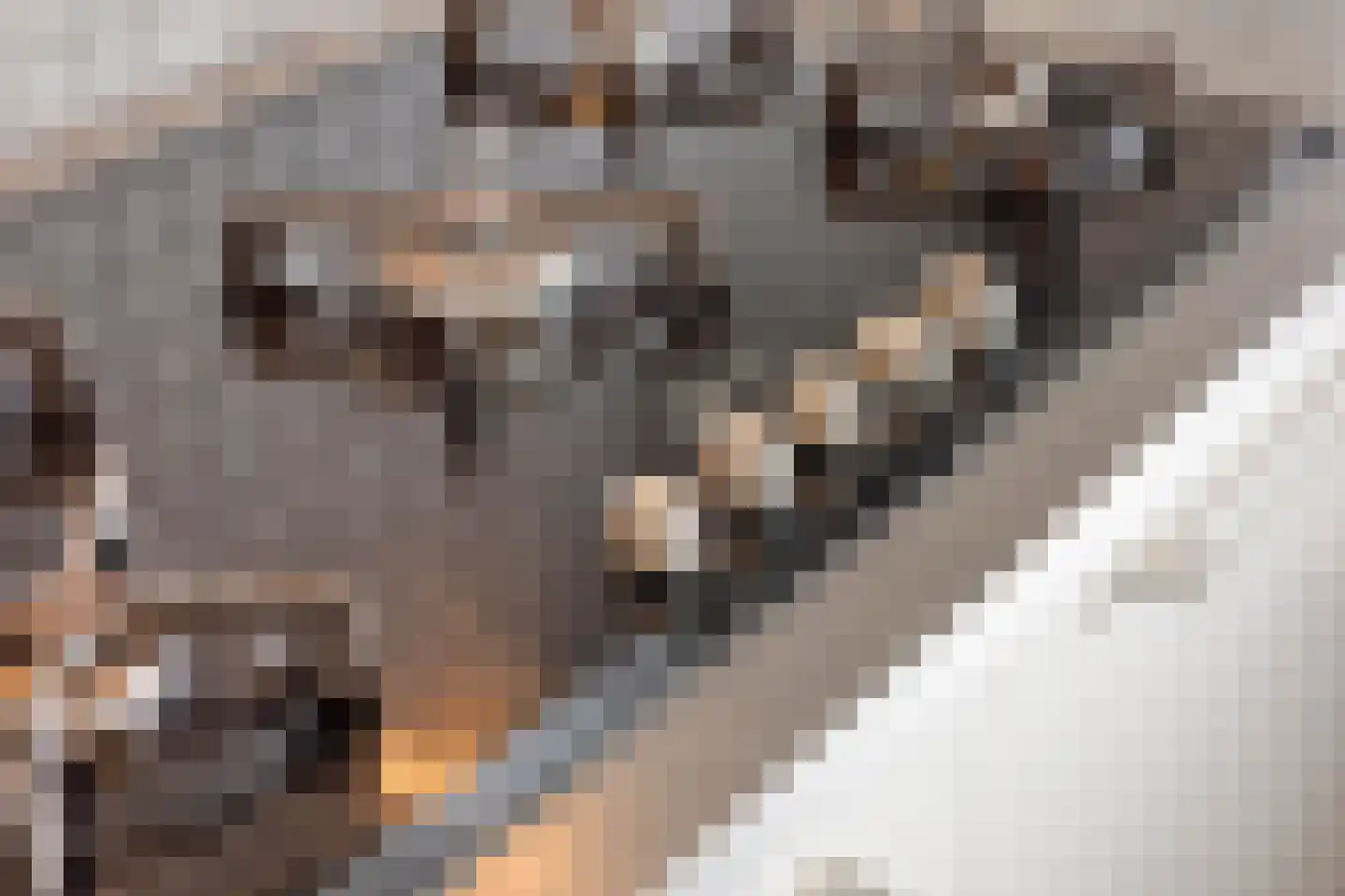 Atrechtlaan 27 Eindhoven thumbnail 23