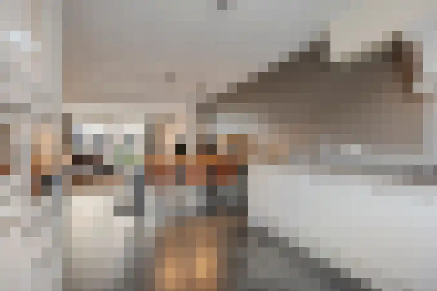 Atrechtlaan 27 Eindhoven thumbnail 24