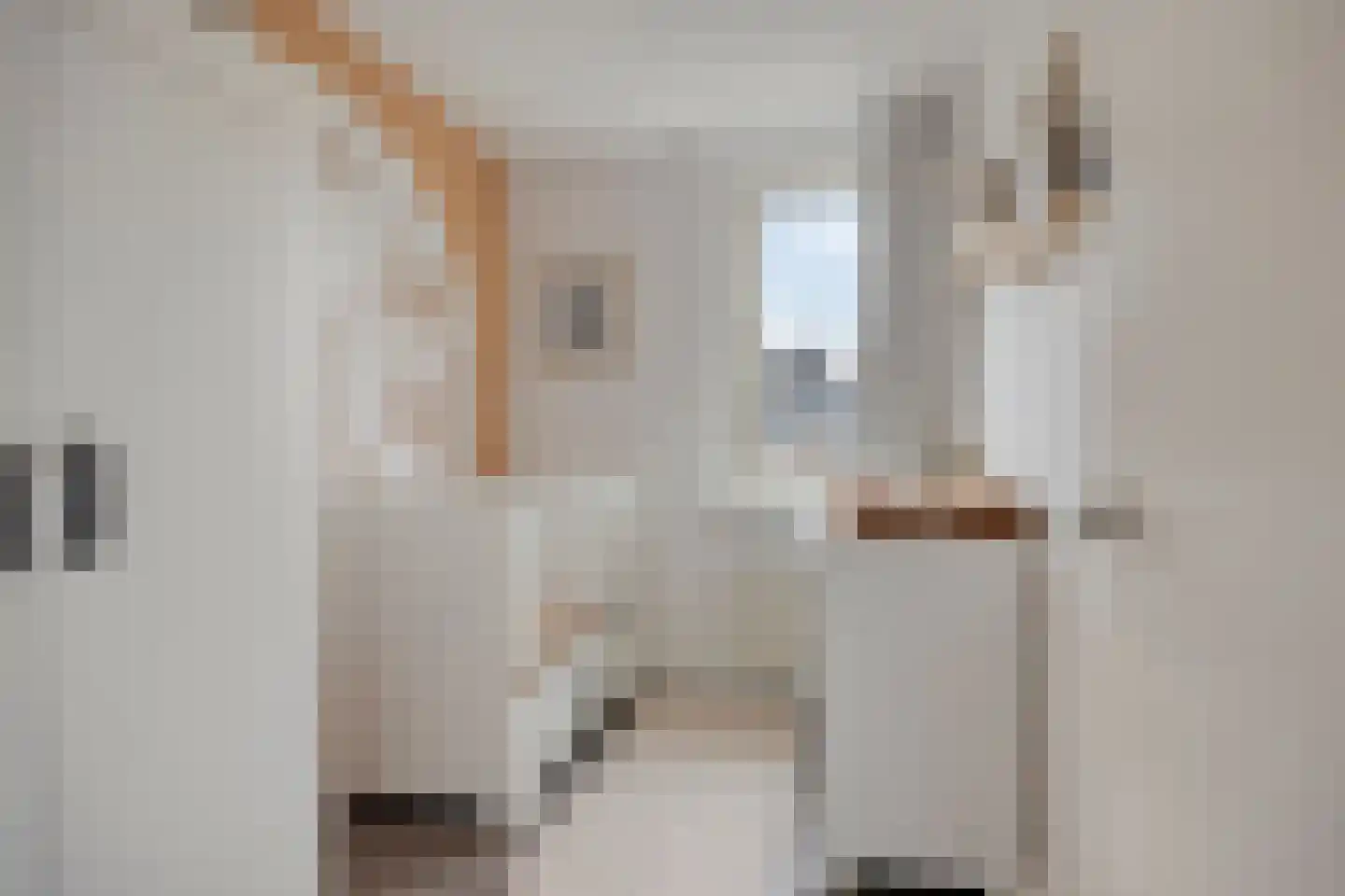 Atrechtlaan 27 Eindhoven thumbnail 32