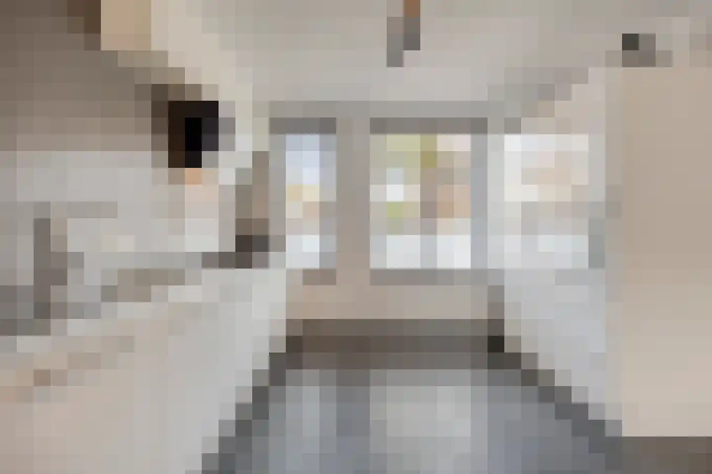 Atrechtlaan 27 Eindhoven thumbnail 4