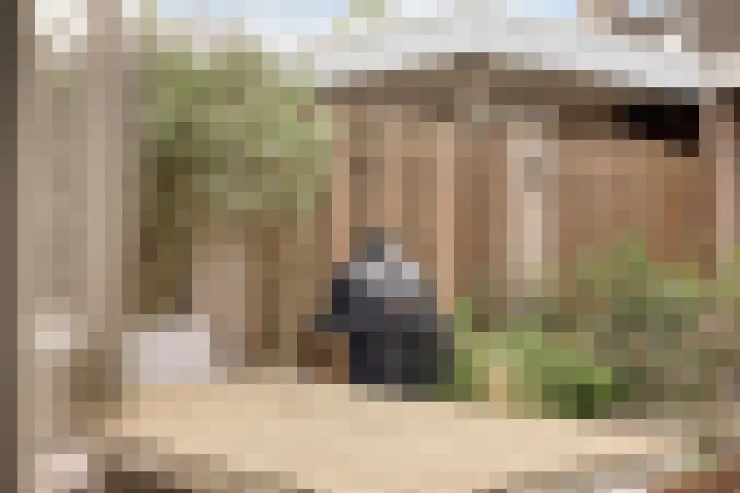 Atrechtlaan 27 Eindhoven thumbnail 44