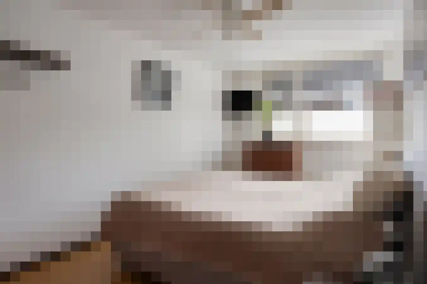 Atrechtlaan 64 Eindhoven thumbnail 23