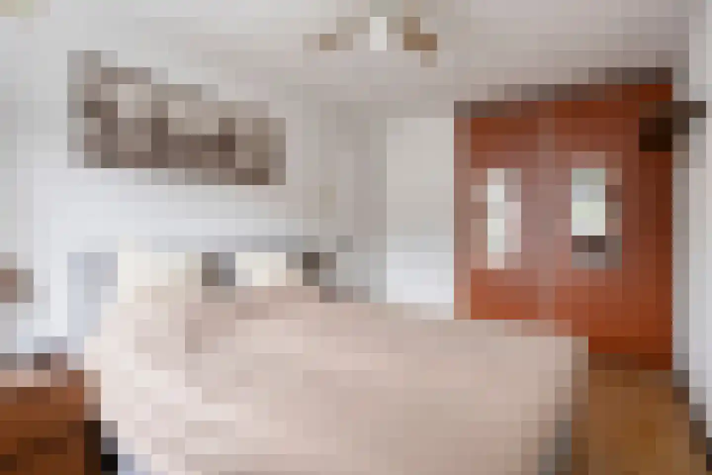 Atrechtlaan 64 Eindhoven thumbnail 24