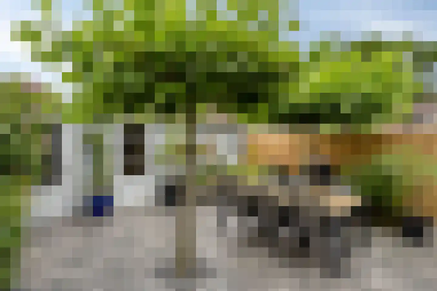 Atrechtlaan 64 Eindhoven thumbnail 36