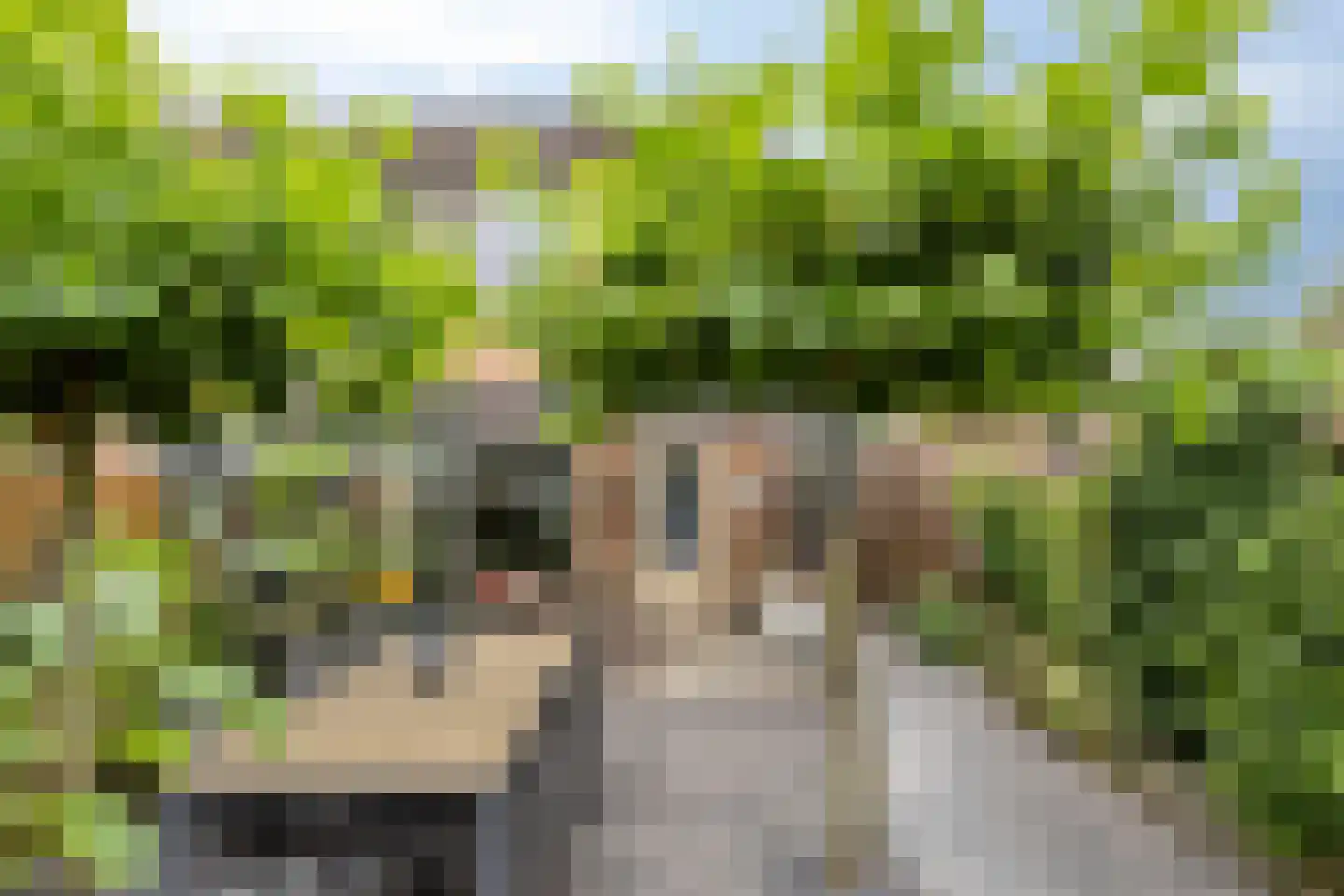 Atrechtlaan 64 Eindhoven thumbnail 38