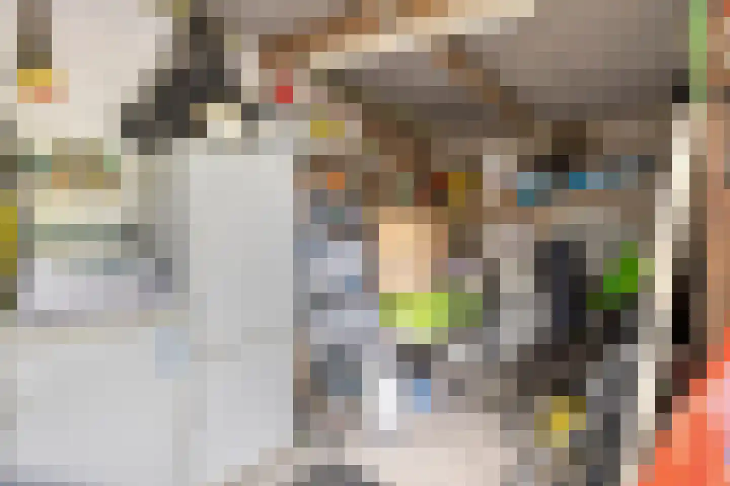 Atrechtlaan 64 Eindhoven thumbnail 39