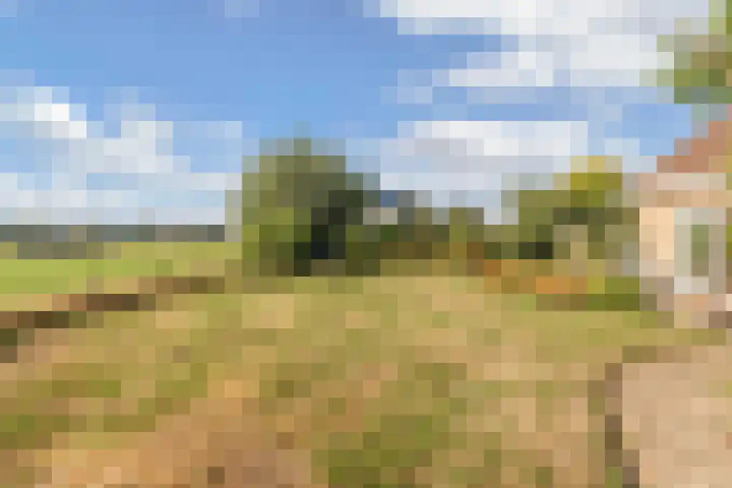 Ats Bonninghawei 11 Warns thumbnail 37