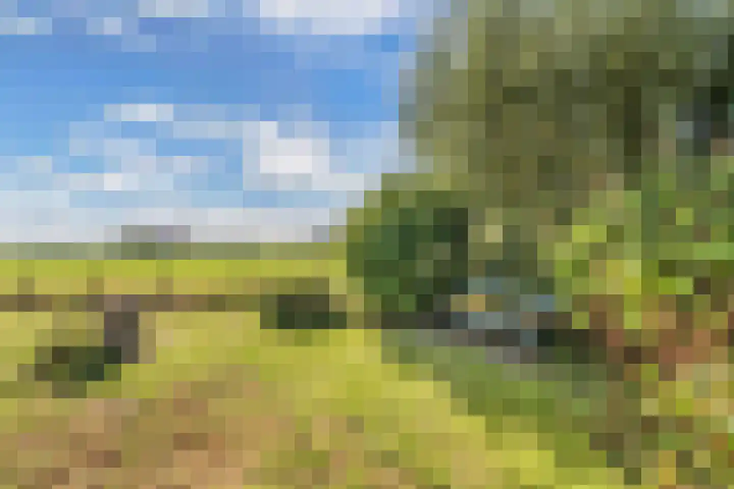 Ats Bonninghawei 11 Warns thumbnail 38