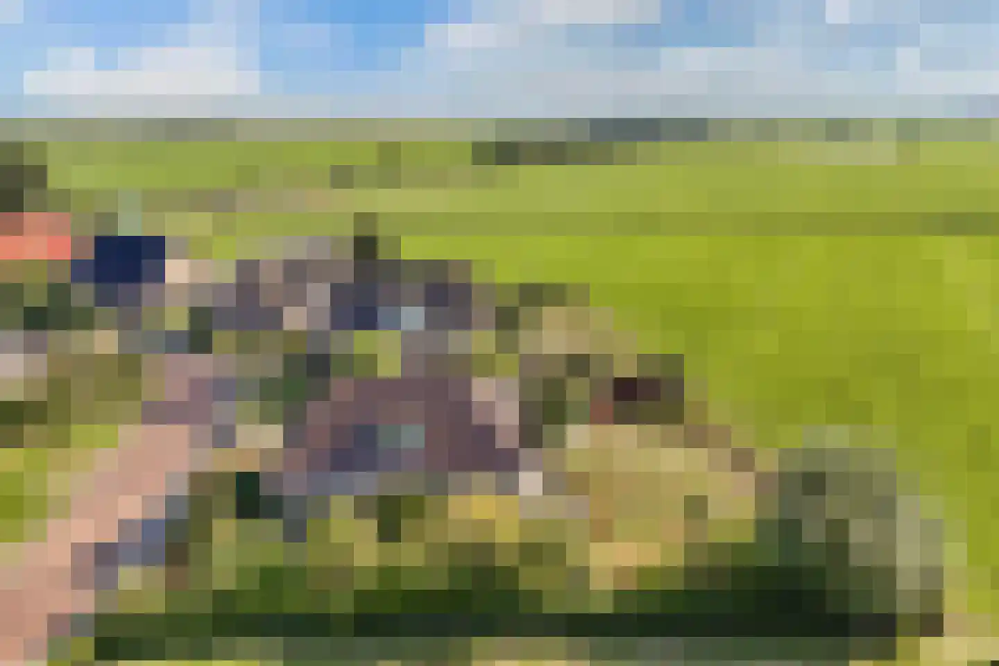 Ats Bonninghawei 11 Warns thumbnail 46
