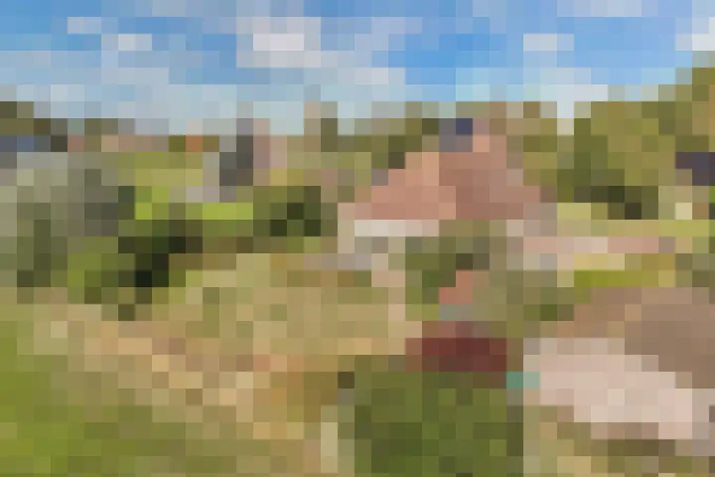 Ats Bonninghawei 11 Warns thumbnail 49
