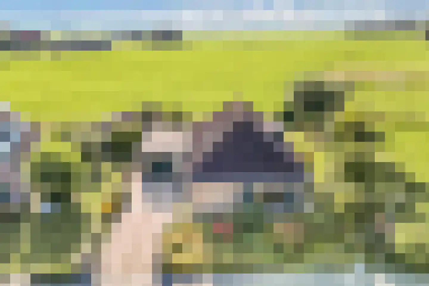 Ats Bonninghawei 11 Warns thumbnail 6