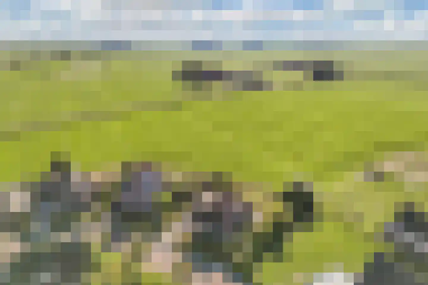 Ats Bonninghawei 11 Warns thumbnail 7