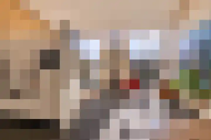 Atsmastate 39 Leeuwarden thumbnail 17