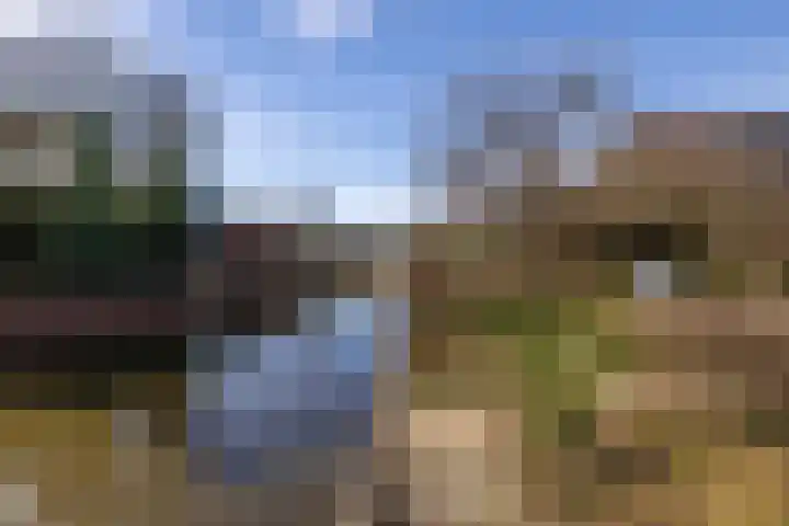 Atsmastate 39 Leeuwarden thumbnail 52