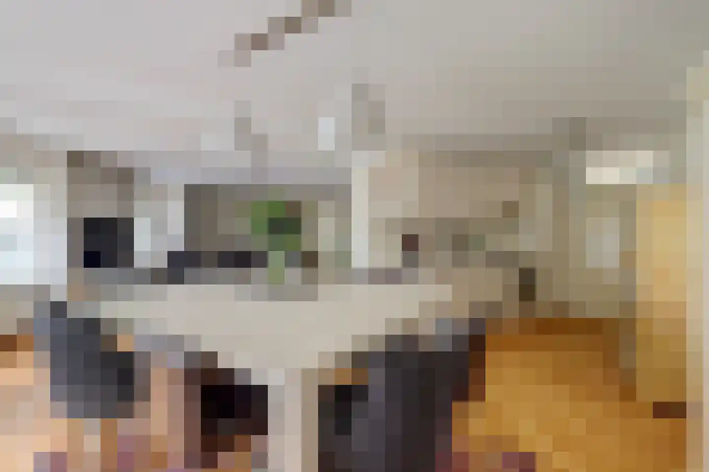 Attleedreef 2 Ede thumbnail 13