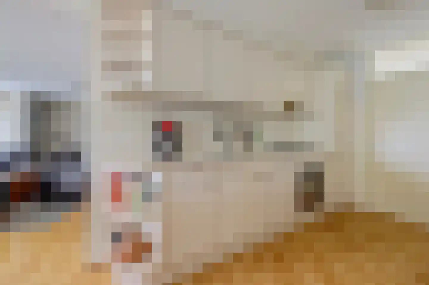 Attleedreef 2 Ede thumbnail 14