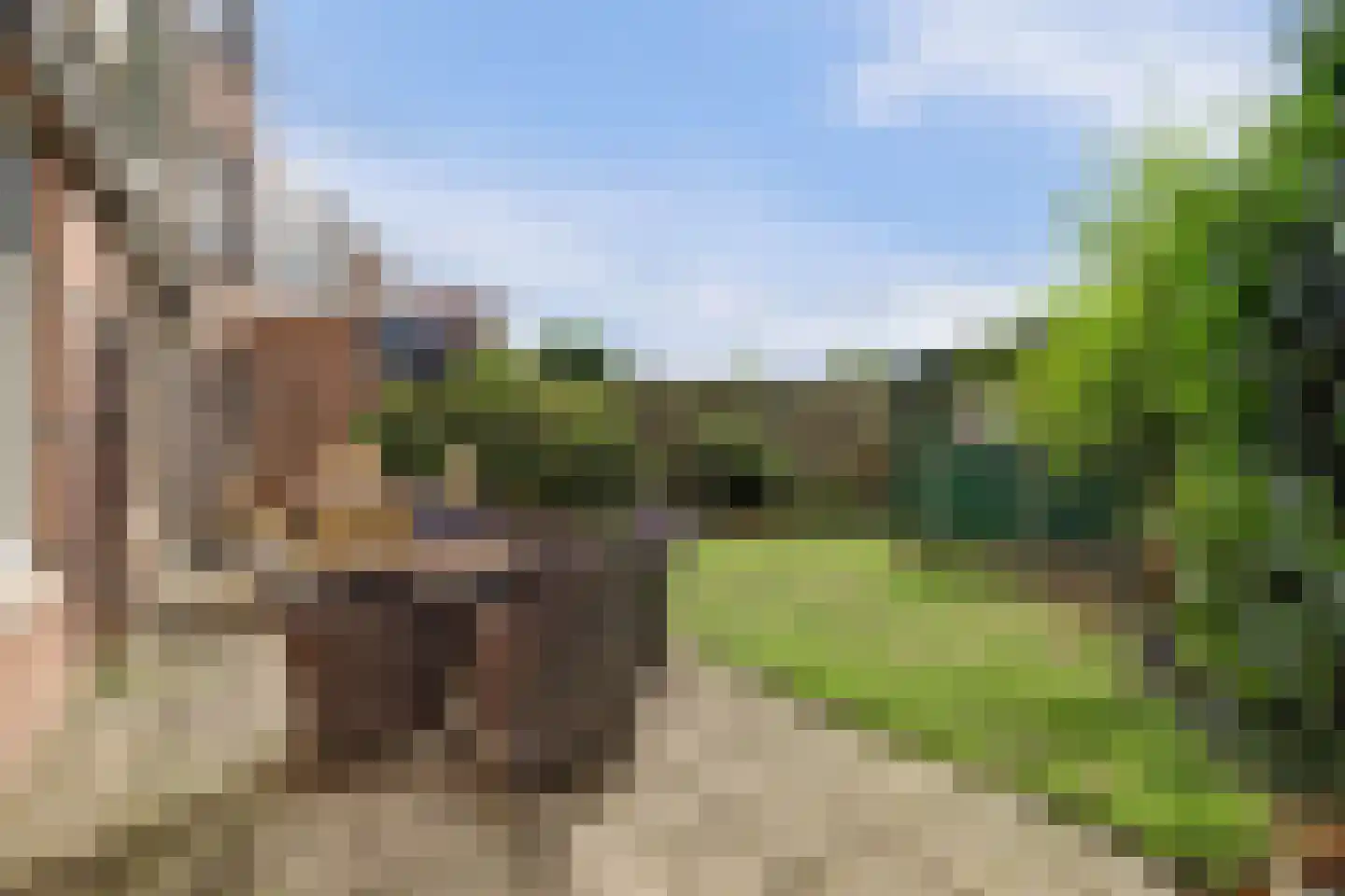 Attleedreef 2 Ede thumbnail 19