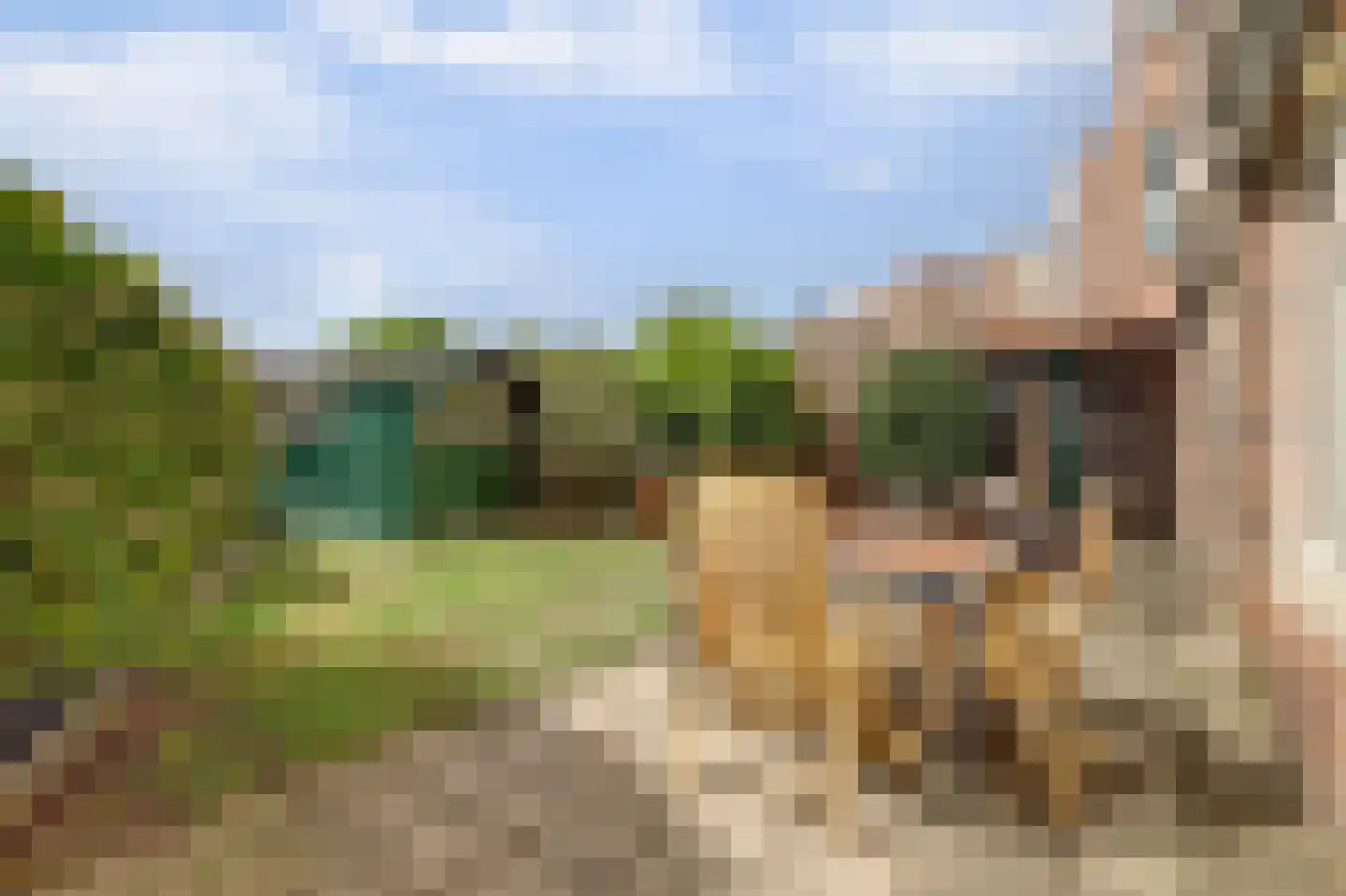 Attleedreef 2 Ede thumbnail 20