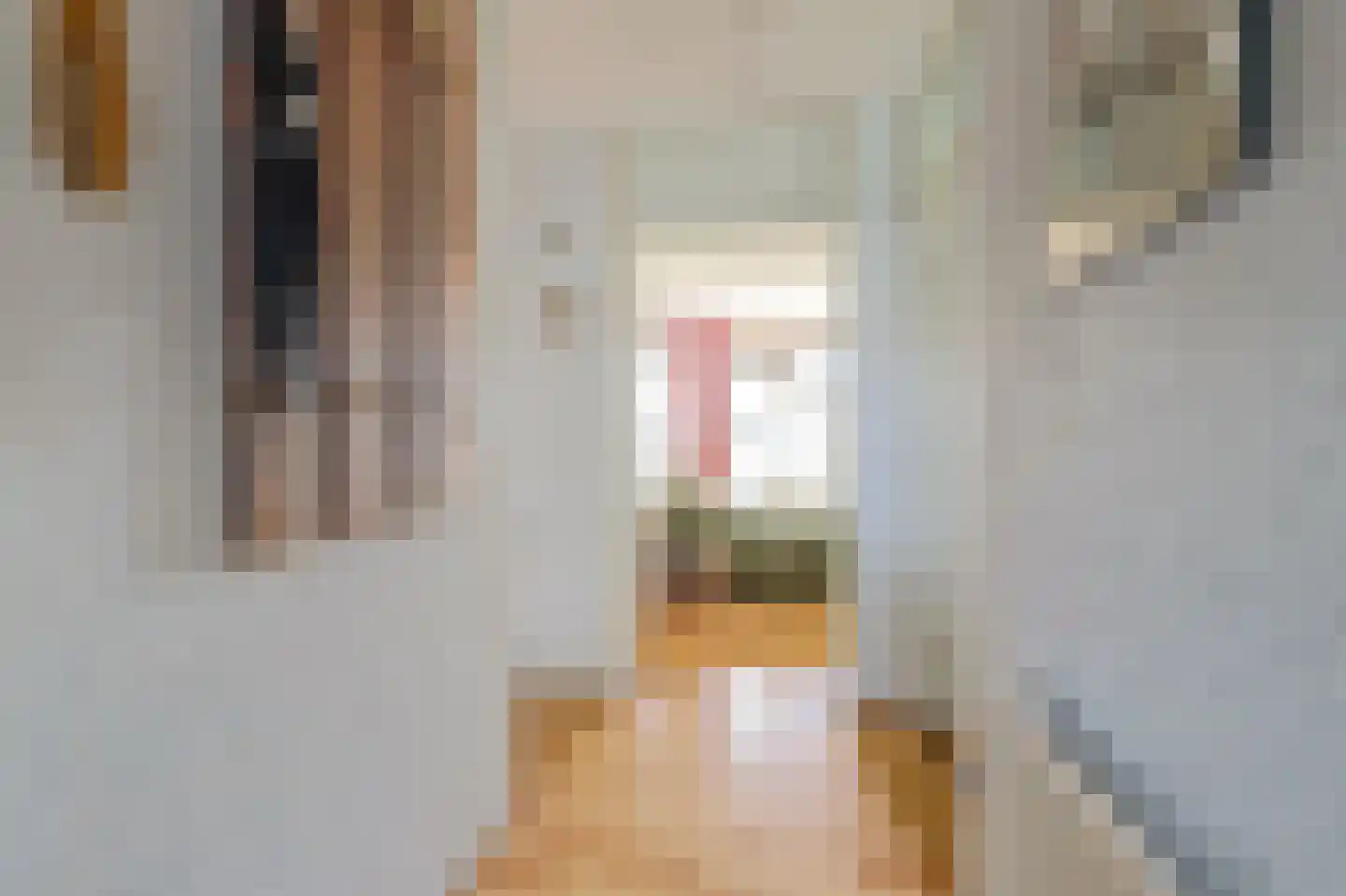 Attleedreef 2 Ede thumbnail 27