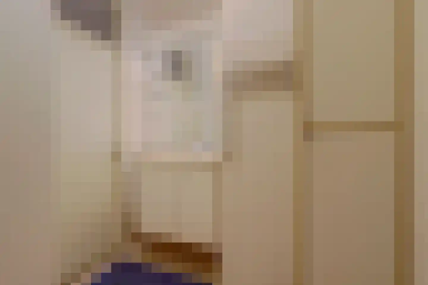 Attleedreef 2 Ede thumbnail 34