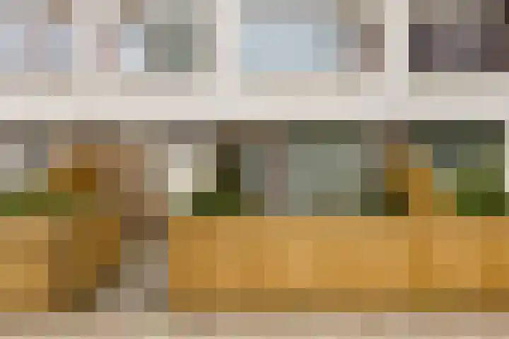 Attleeplantsoen 62 Utrecht thumbnail 10