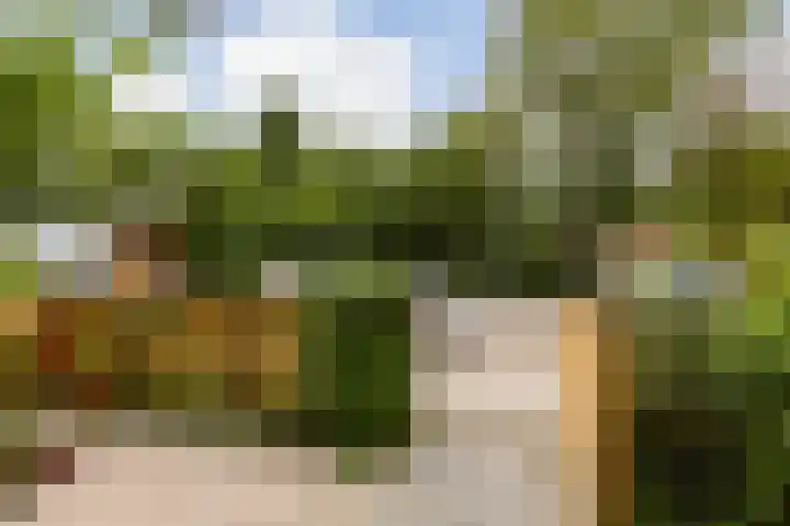 Attleeplantsoen 62 Utrecht thumbnail 11