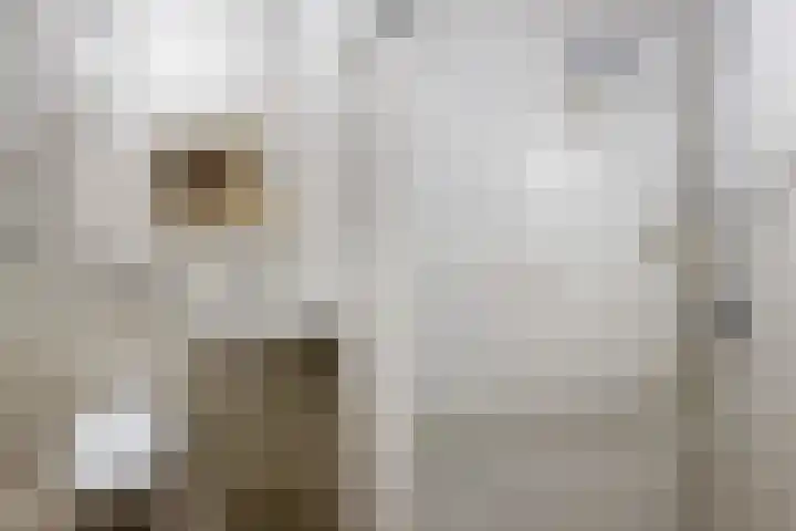 Attleeplantsoen 62 Utrecht thumbnail 14