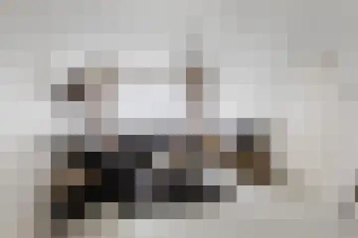 Attleeplantsoen 62 Utrecht thumbnail 15