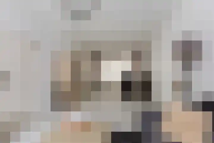 Attleeplantsoen 62 Utrecht thumbnail 16