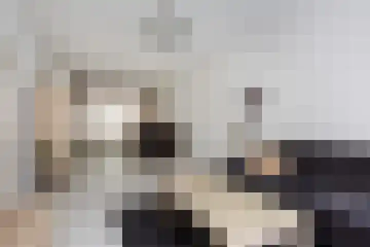 Attleeplantsoen 62 Utrecht thumbnail 17