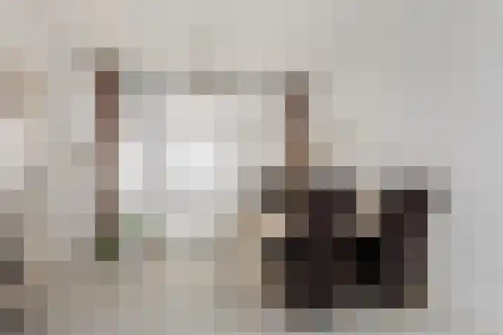 Attleeplantsoen 62 Utrecht thumbnail 18
