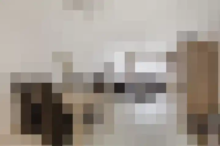 Attleeplantsoen 62 Utrecht thumbnail 19
